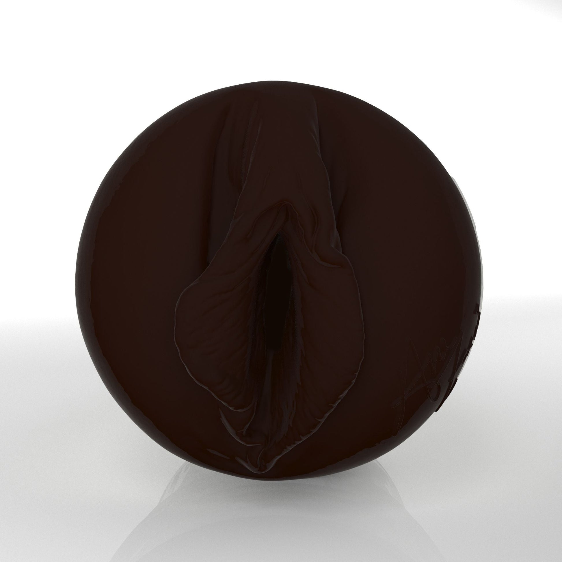 Ana Foxxx X3 2026 Edition Fleshlight 2026 Special Edition X3 (Lady) With Case Fleshlight